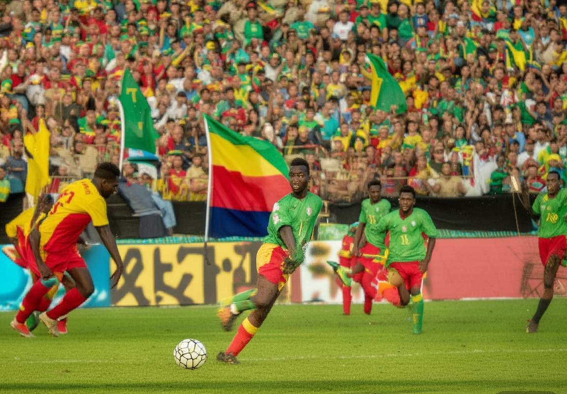 贝宁vs喀麦隆：非洲足球盛宴亮点解析(图2)