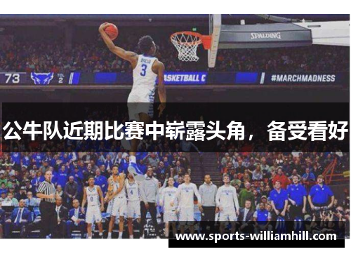 公牛队近期比赛中崭露头角，备受看好