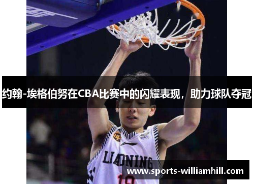 约翰-埃格伯努在CBA比赛中的闪耀表现，助力球队夺冠